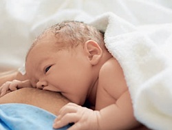 Когда приходит молоко?